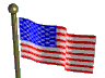 waving flag